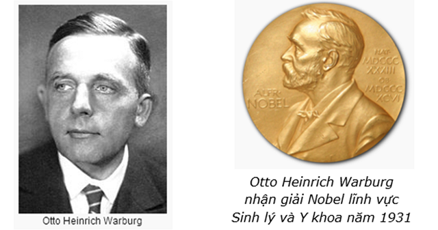 TS. Otto Warburg nói về giải pháp để chữa bệnh ung thư