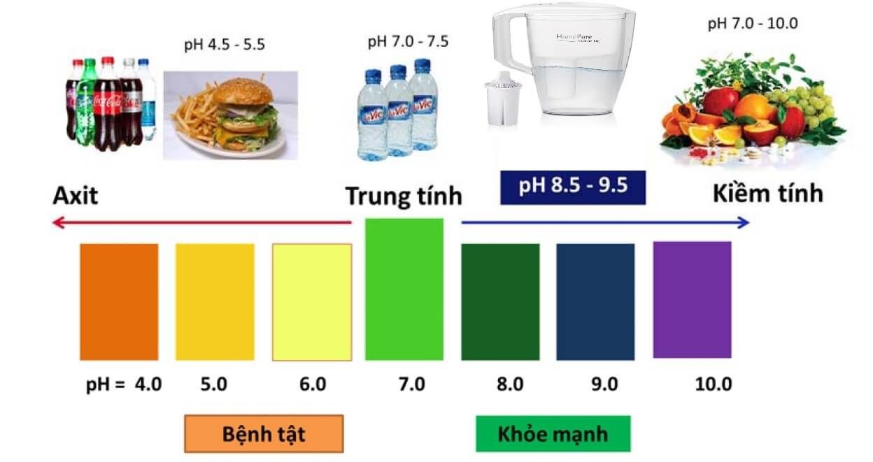 Nước uống có độ kiềm cao giúp cân bằng môi trường axit – kiềm trong cơ thể